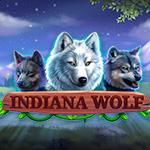 Indiana Wolf